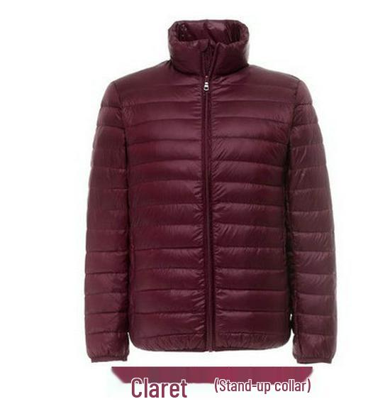 Men's Lightweight Down Jacket, Stand Collar, Slim Fit, Plus Size, Autumn/Winter Collection, Casual Short Coat