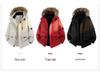 Parka d'hiver haut de gamme unisexe avec capuche et col en fourrure – Veste de ski style montagne trois-proofs
