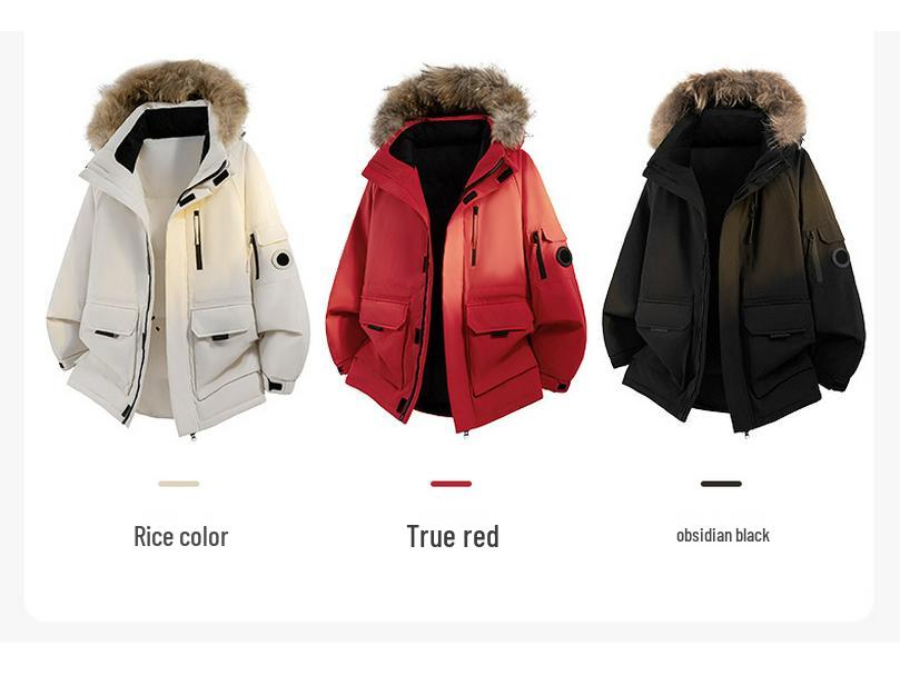 Parka d'hiver haut de gamme unisexe avec capuche et col en fourrure – Veste de ski style montagne trois-proofs