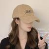 Lamb Plush Hat Women's Autumn and Winter Warm Peaked Cap Ins Korean Style Fashion Brand Face Small Fashion Versatile Baseball Cap