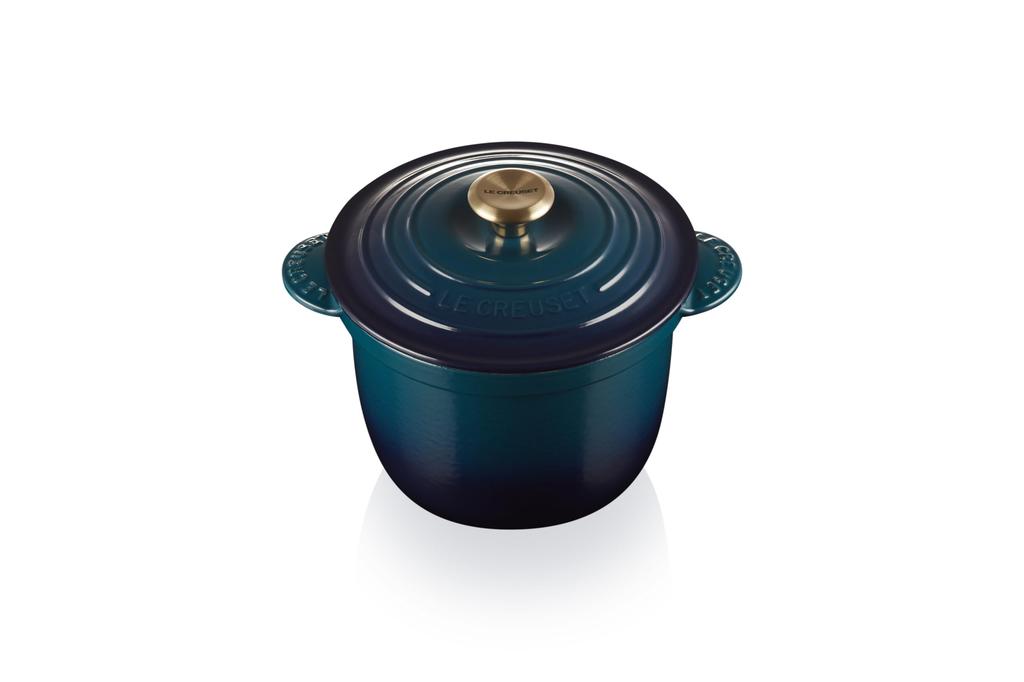 Le Creuset Cocotte Every 20cm Agave Enamel Cast Iron Pot with Light Gold Oven and Dishwasher Safe Japanese Handles, [Official Product]