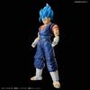 Standard Dragon Ball Super Saiyajin Gott Super Saiyajin Vegetto Kunststoff Modell Figur-rise Farbcodiert