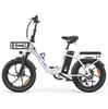 Allgobike AC20 Elektrische Fiets 250W Motor 20" Band Stadsverkeer Elektrische Fiets 48V 20Ah LED Display Maximaal Bereik 60Km 7 Versnellingen Maximaal Laadvermogen 120Kg