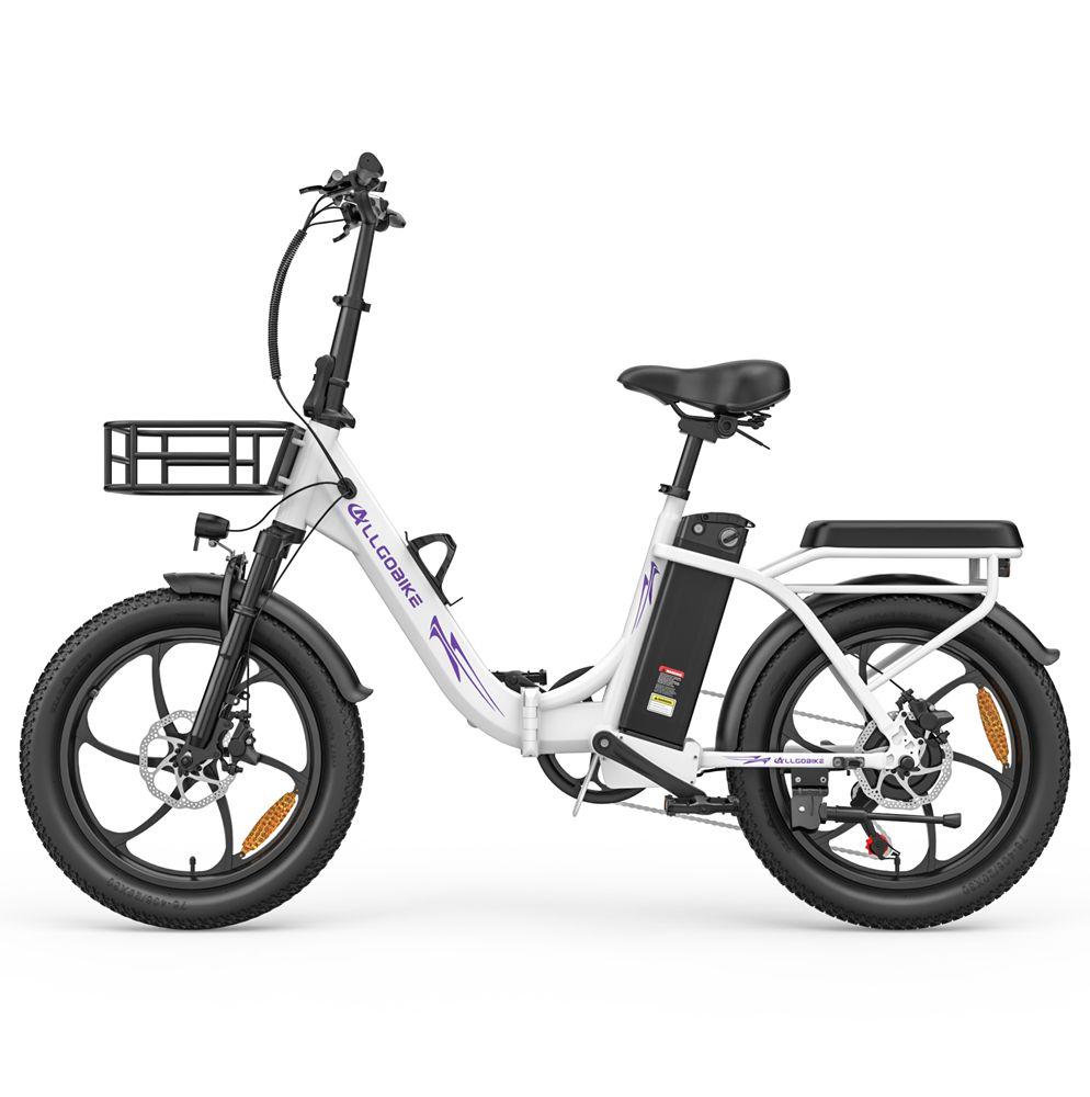 Allgobike AC20 Elektrische Fiets 250W Motor 20" Band Stadsverkeer Elektrische Fiets 48V 20Ah LED Display Maximaal Bereik 60Km 7 Versnellingen Maximaal Laadvermogen 120Kg
