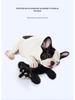 Leather Shell Interactive Chew-Resistant Plush Dog Toy