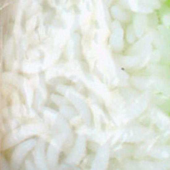 

50 светящихся бионических мягких приманок: Мучные черви, личинки и дождевые черви, рыбный мускусный запах Less than 1000 packs, Luminous + $0.2