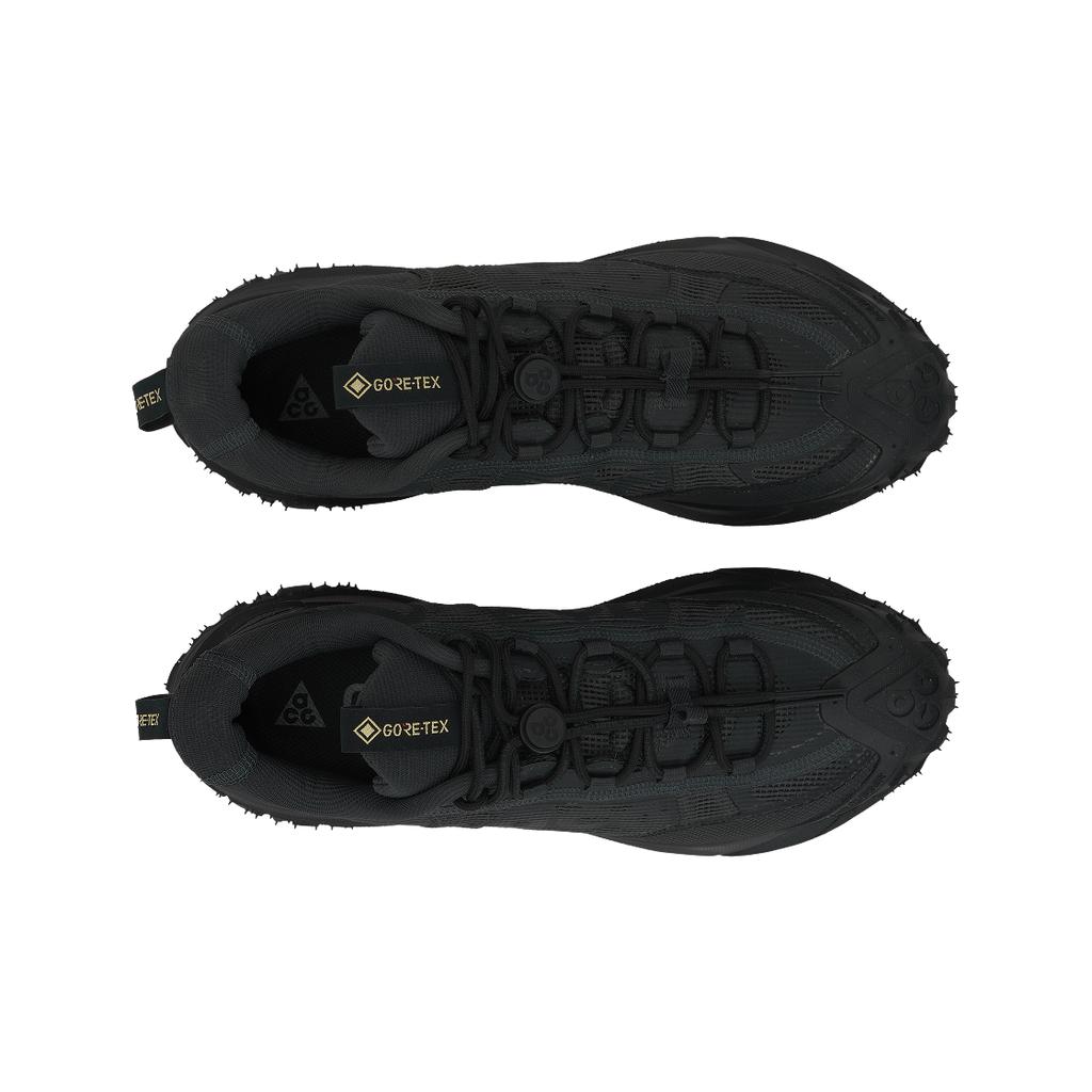 Nike ACG Mountain Fly 2 Low GORE-TEX Grigio fumo scuro Unisex Sneakers Nero Antracite HF6245-001