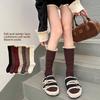 Cashmere Calf Lace Stockings for Women In Autumn and Winter, Knee-high Thickened Warmth, Lolita Slimming, Versatile Long Stockings