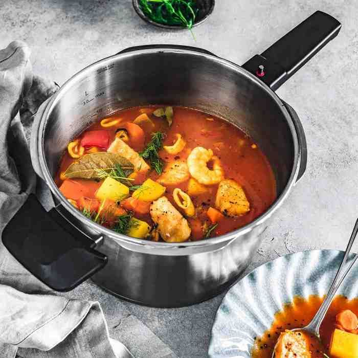 FISSLER Vitaquick Premium Autocuiseur 10 L