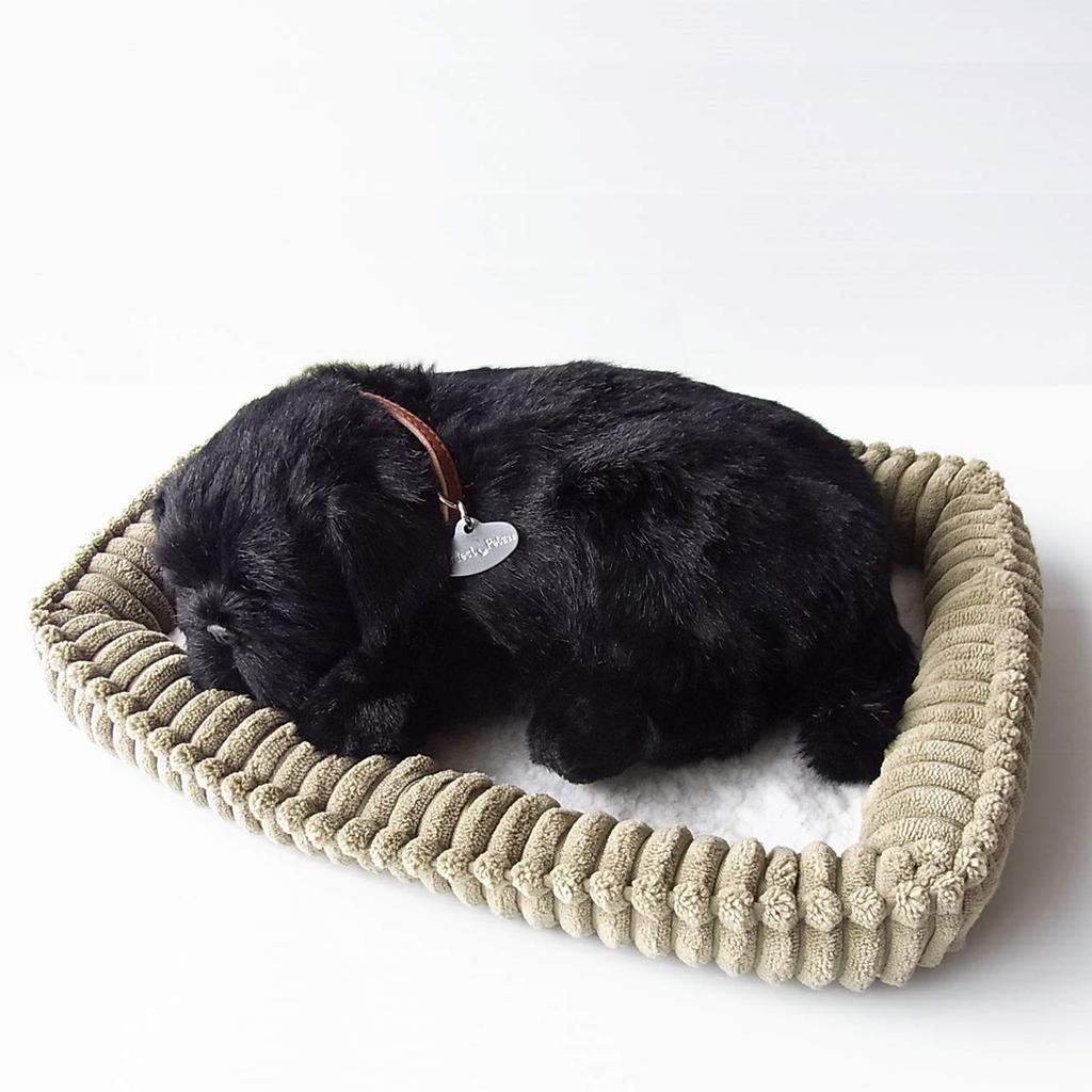 Ninian and Kino Perfect Pet Pug Plush Stuffed Dog Stuffed Animal (Small) (Black) Dog, Realistic, Lifelike, Animal-Like Animal, Soothing, Moving,