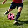 1pc Pink Dinosaur Art Lightweight PVC Training Soccer Ball, Size 5, Suitable for Indoor and Outdoor TrainingGift Y60398