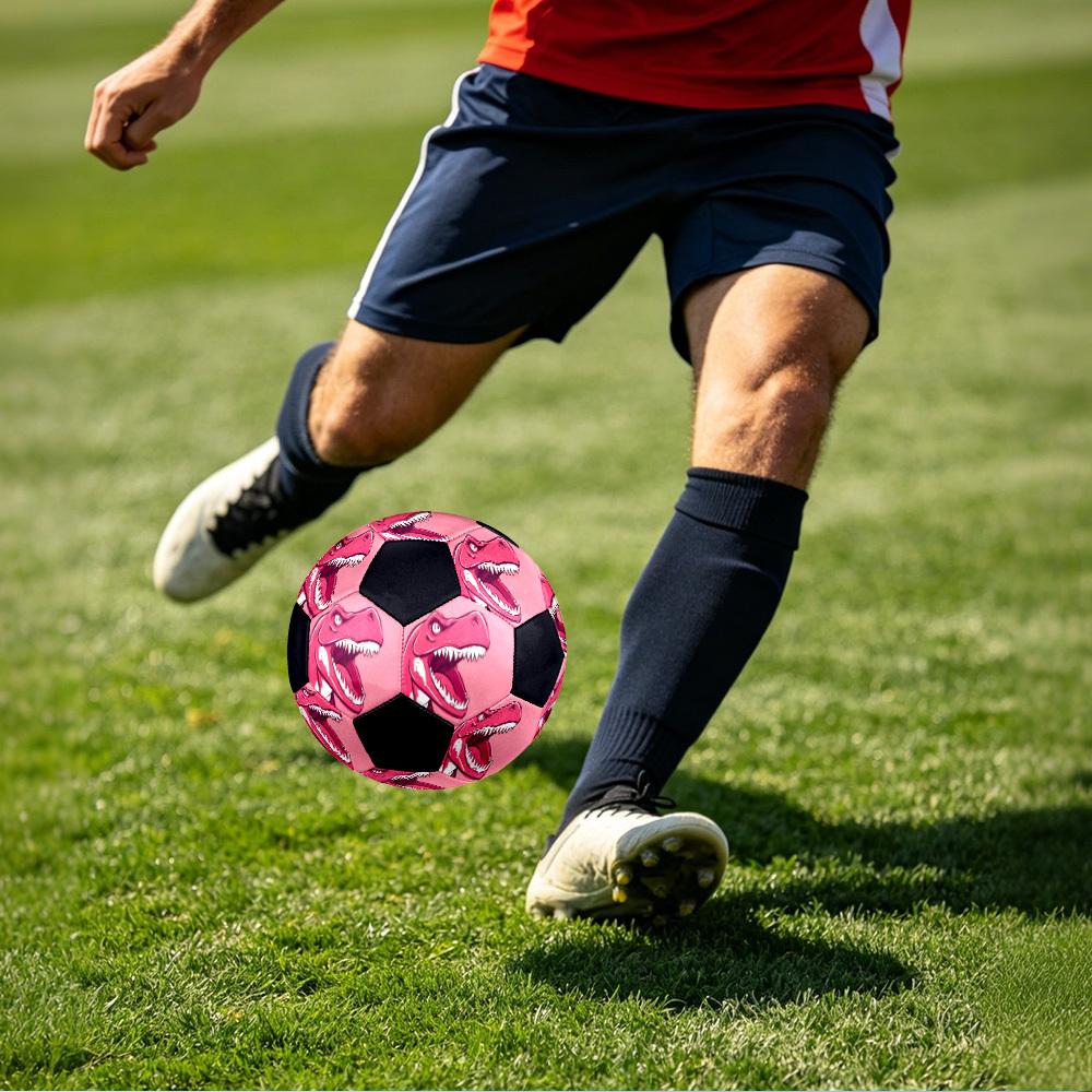 1pc Pink Dinosaur Art Lightweight PVC Training Soccer Ball, Size 5, Suitable for Indoor and Outdoor TrainingGift Y60398
