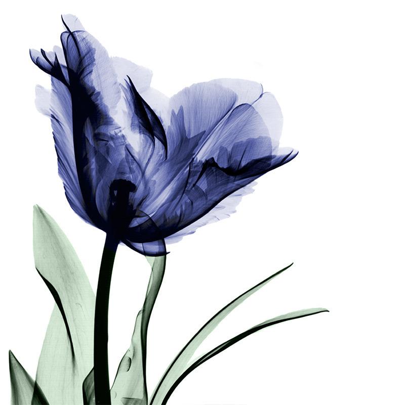 Flower 3D Digital Printing Shower Curtain Bathroom Without Punching Four-Piece Bathroom Curtain Shower Curtain Bathroom Curtain