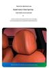 Shangjie H5 Car Neck Pillow: Comfortable Headrest Cushion for Neck Support and Interior Enhancement