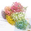 6pcs Simulation Flower Plastic Star Ornaments Simple And Generous Artificial Flower Wedding Furniture  Room Decoration