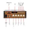 Dual-Channel Bluetooth Amplifier with USB Radio & Wireless Remote