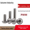 304 Stainless Steel Phillips Pan Head Machine Screw with Washer and Pull Handle (M2-M6).