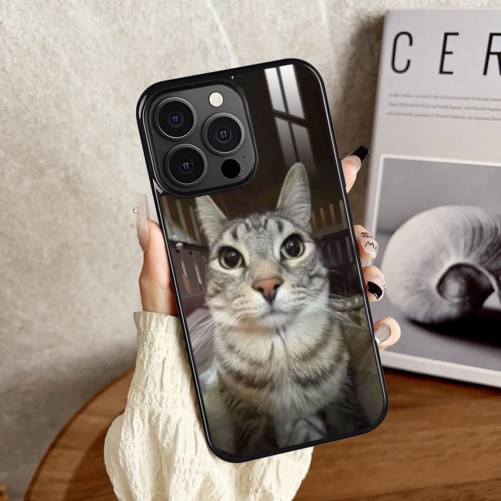 Pet Cat Funny Memes Phone Case For iPhone 16 15 14 13 12 11 Pro Xs Max Mini Plus Antislip Shockproof Hard Funda