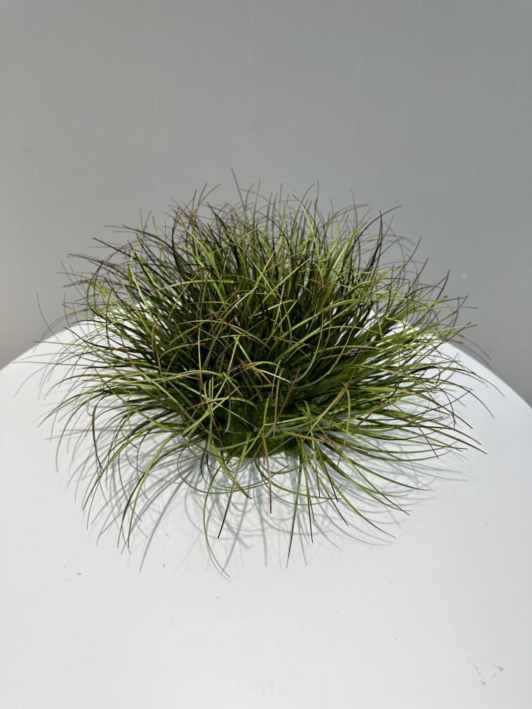Artificial Grass Ball Ornament for Indoor Landscaping and Photography 