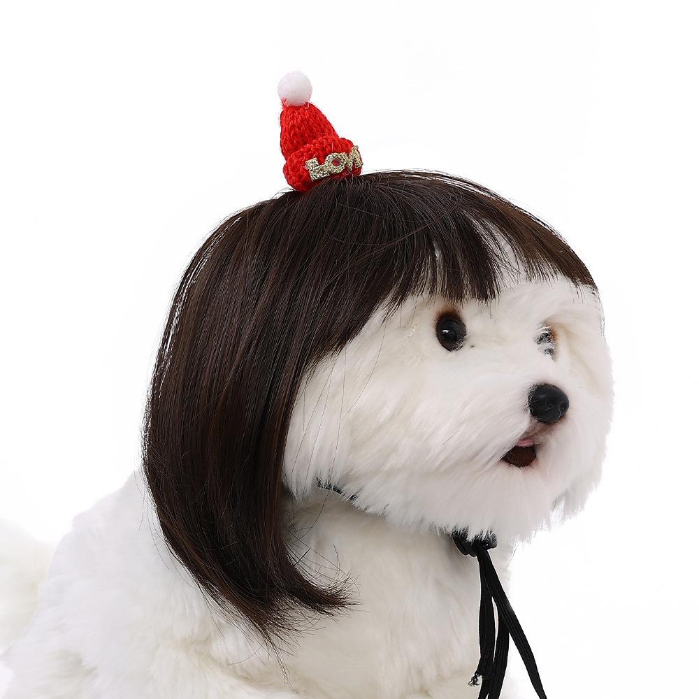 Pet Quality Premium Wig For Dogs And Cats In Trendy Bob Cut For Seasonal Celebrations
