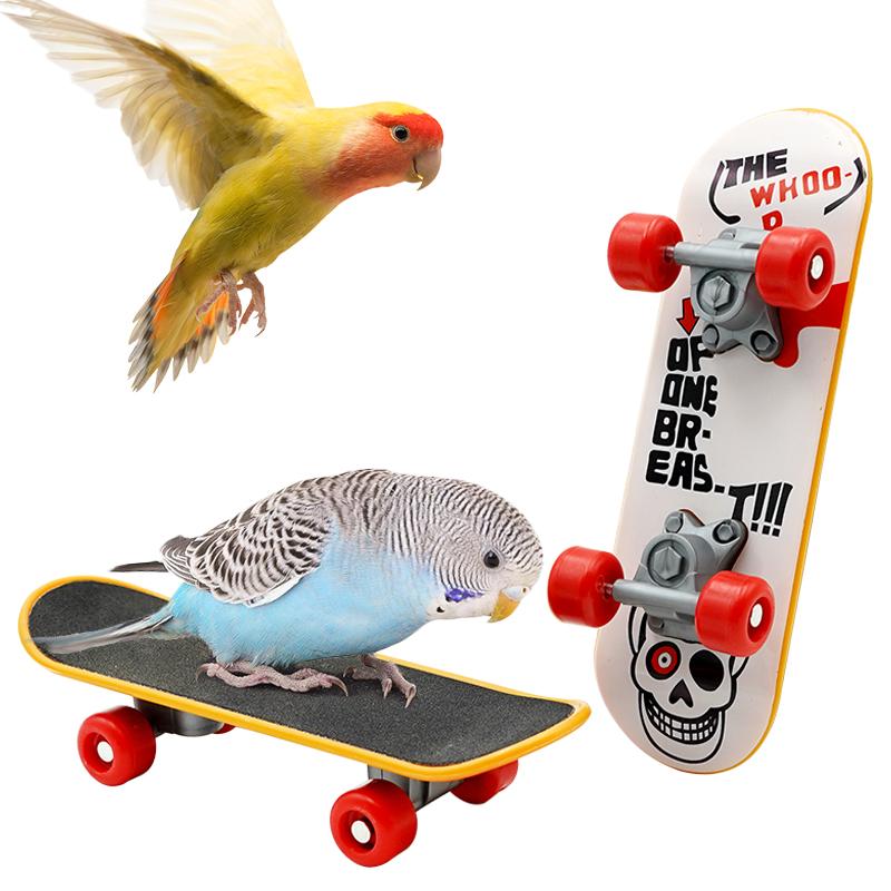 Funny Mini Skateboard Parrot Bird Cage Toy Training Skateboard Budgies Parakeet Growth Toy Intelligence Bird Accessories