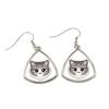 Norwegian Forest - Elegant Metal Earrings As a Gift from the Brand