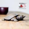 Handmade Retro Chinese Divine Turtle Ornament for Home or Office Decor
