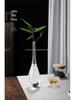 Zen Transparent Glass Vase for Hydroponic Plants and Small Mouth Flower Arrangements