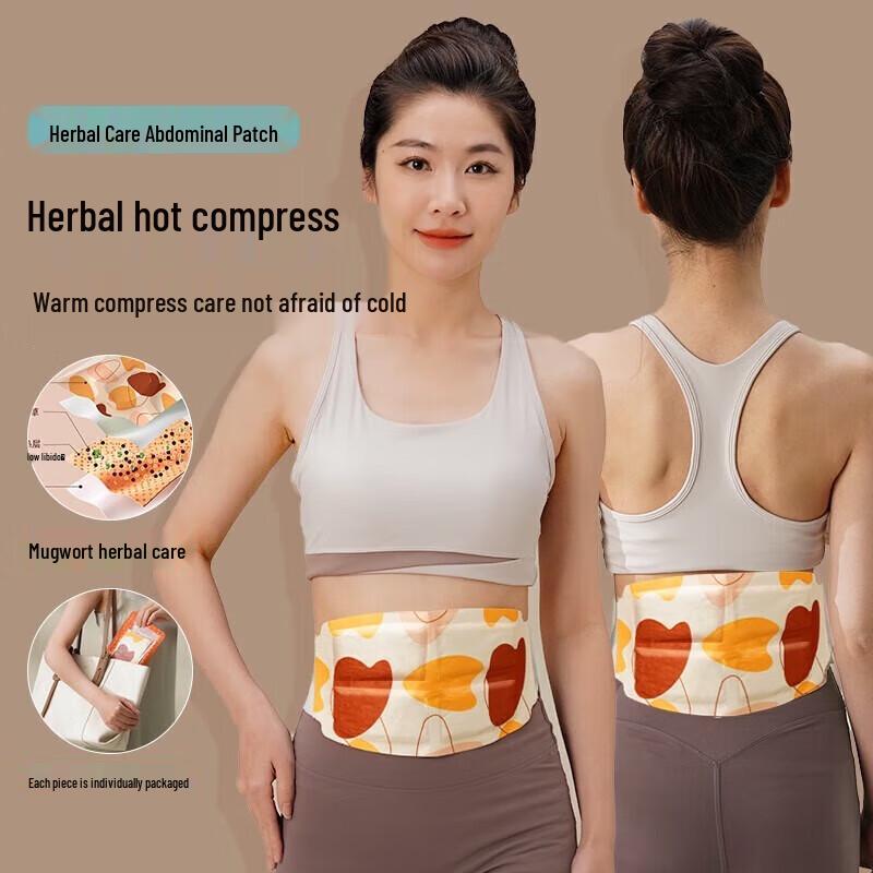 Hezheng Smart Waist Massager & Moxibustion Gift Set