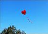 Weifang Red Heart Love Kite - Soft Body Adult Cross-Border Kite