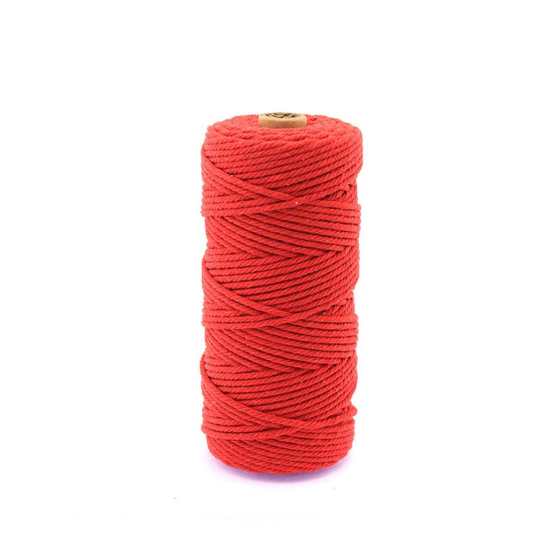 100M/Rouleau Fourniture Décoration Maison Corde Coton Macramé Colorée Tricotée à la Main 3mm Projets DIY Emballage Cadeau Naturel