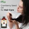 Organic Zing Cranberry Seed (Vaccinium Subg. Oxycoccus) Oil | Pure & Natural Carrier Oil for Skincare, Hair Care & Massage - 118ml/3.99fl Oz