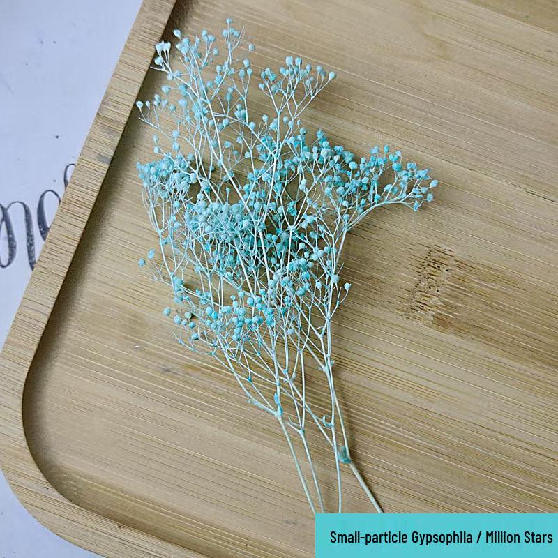 Blue Series Dried Flower DIY Kit: Hydrangea, Thousand-Layer Gold, Eucalyptus Leaf Souvenir Decoration