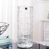 Extra Large Transparent Glass Cylinder Vase for Lucky Bamboo and Flower Arrangements In Living Room