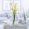 Creative Glass Vase for Flower Arrangements and Home Decor - Ideal for Dried Flowers, Desktop Display, and Hydroponic Plants