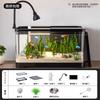New Desktop Goldfish Tank with Built-in Filter Oxygen System Small Living Room Stream Ecosystem Complete Landscape Aquarium