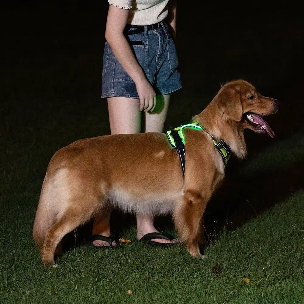 Adjustable Luminous Pet Chest Strap Light Up Dog Glow Vest LED Dog Harness  for Night Walking