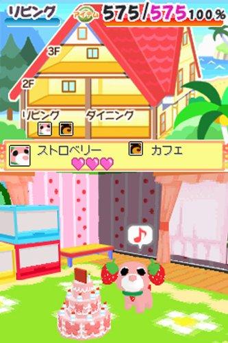 Ochaken's Room DS3 (no bonus)