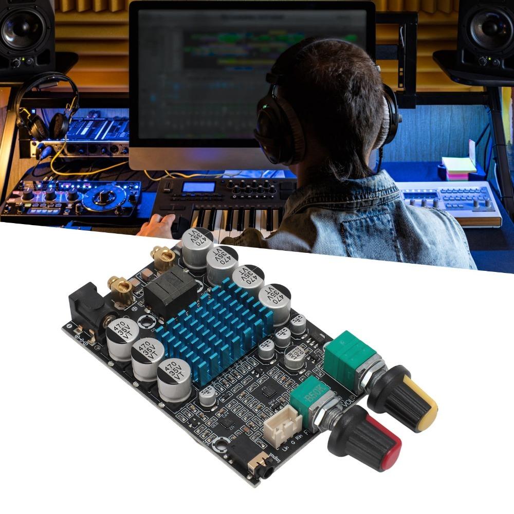 100W TPA3116 Subwoofer Amplifier Board 12-24V High Power Digital Amplifier for DIY Speaker