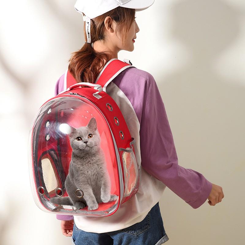 Transparent Pet Carrier Backpack Cats Dogs - Breathable Travel Bag With Side Opening 31L Capacity 5-7kg Weight Range