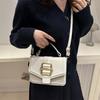 French Simple Fashion Personalized Women's Bag 2025 New Portable Shoulder Bag Retro Texture Ins Messenger Bag Small Square