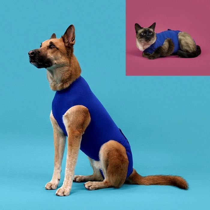 Medical Protection Shirt - KVP - Recova Shirt - Size M - Dog - Blue