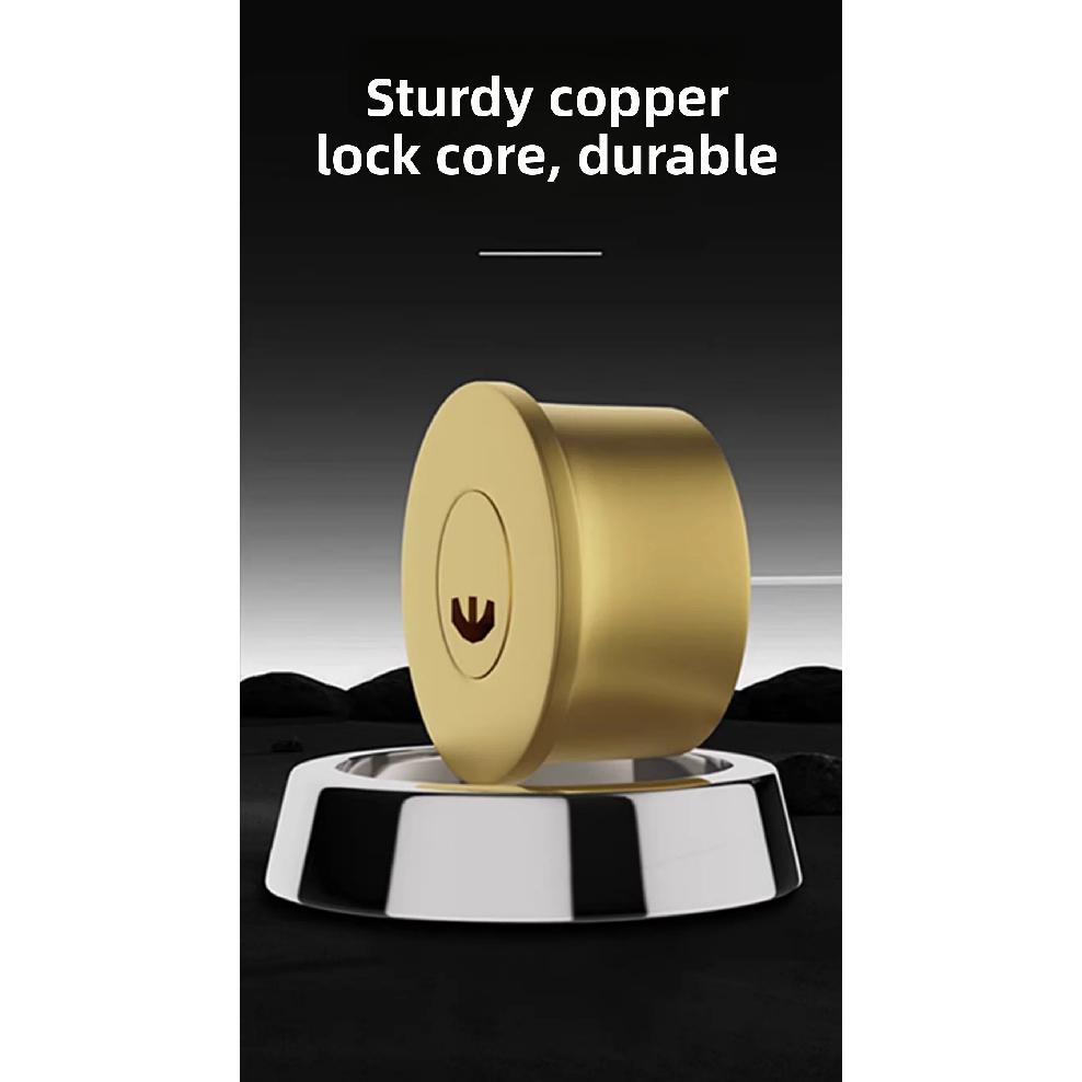 External Iron Door Lock Security Anti-Theft And Anti-picking Lock Wooden Door Compound Door Lock Multi-safety Smooth Lock
