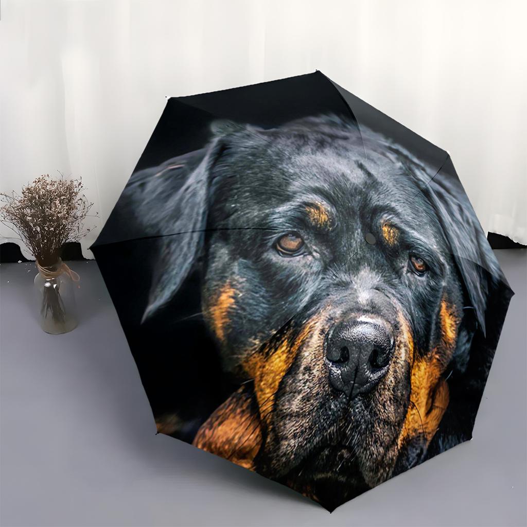 Rottweiler Muster Neuer Universalschirm, 1 Stück Automatischer Faltregenschirm, Tragbares faltbares Design Reise Regenschirm, Outdoor U