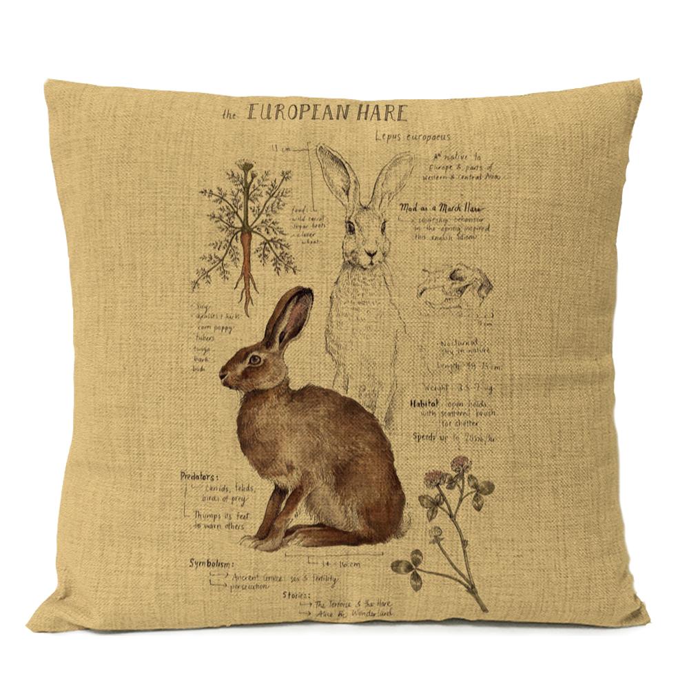 

Натуральное исследование Подушки-игрушки Дракон Тропический Василиск Феникс Лиса Собака Волк Кит Наволочка Подушка Домашний Декор Комнаты Подушка для Дивана 18x18Inch