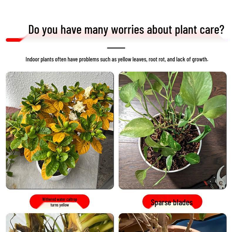 Universal Liquid Fertilizer for Flowers, Green Plants, Hydroponics, Succulents, and Potted Money Trees