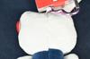 Sanrio Original Hello Kitty Mini Mascot with Heart-Shaped Key Ring H:10cm