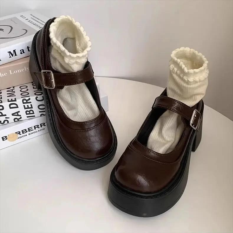 Fashion Brown Retro French Thick Heel Mary Janes Women's Shoes Spring 2025 New Style Heightening Flat Mouth High Heels Loafers Shoes