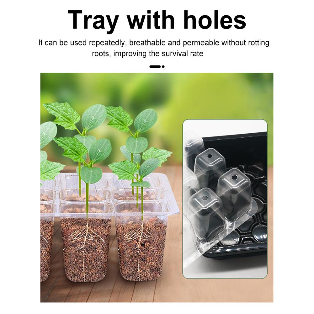 6/12 Hole Flower Plant Seed Grows Box Seed Propagation Container Garden Grow Germination Box with Biodegradable Seed Nursery Bag