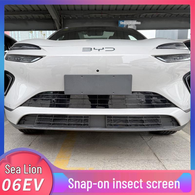 BYD Sea Lion 06 Abnehmbarer Frontgrill Insektenschutz